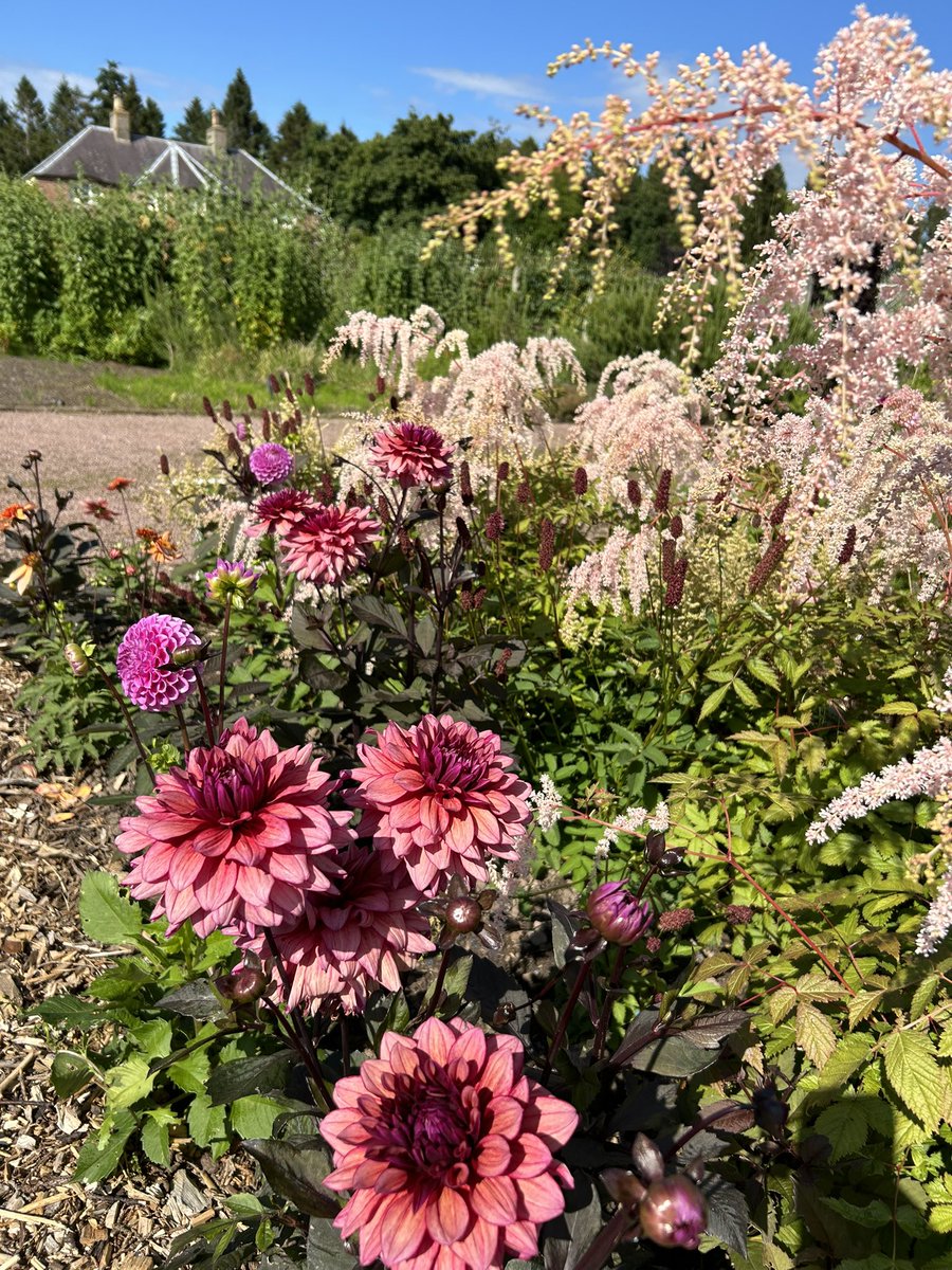 Zara Gordon Lennox tweet media