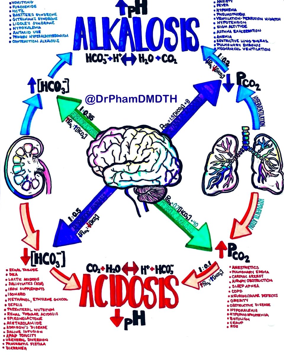 Nice Acid Base Balance Quick Reference