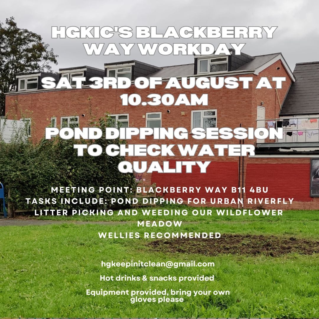 Join the Hall Green's Keepin' It Clean volunteers for a conservation event on Saturday 3rd August! 

Get involved in: Pond Dipping &amp; Water Quality Checks, Urban Riverfly Monitoring, Litter Picking and more...

Meet at 10:30am - Blackberry Way, B11 4BU. 

Wear suitable footwear.