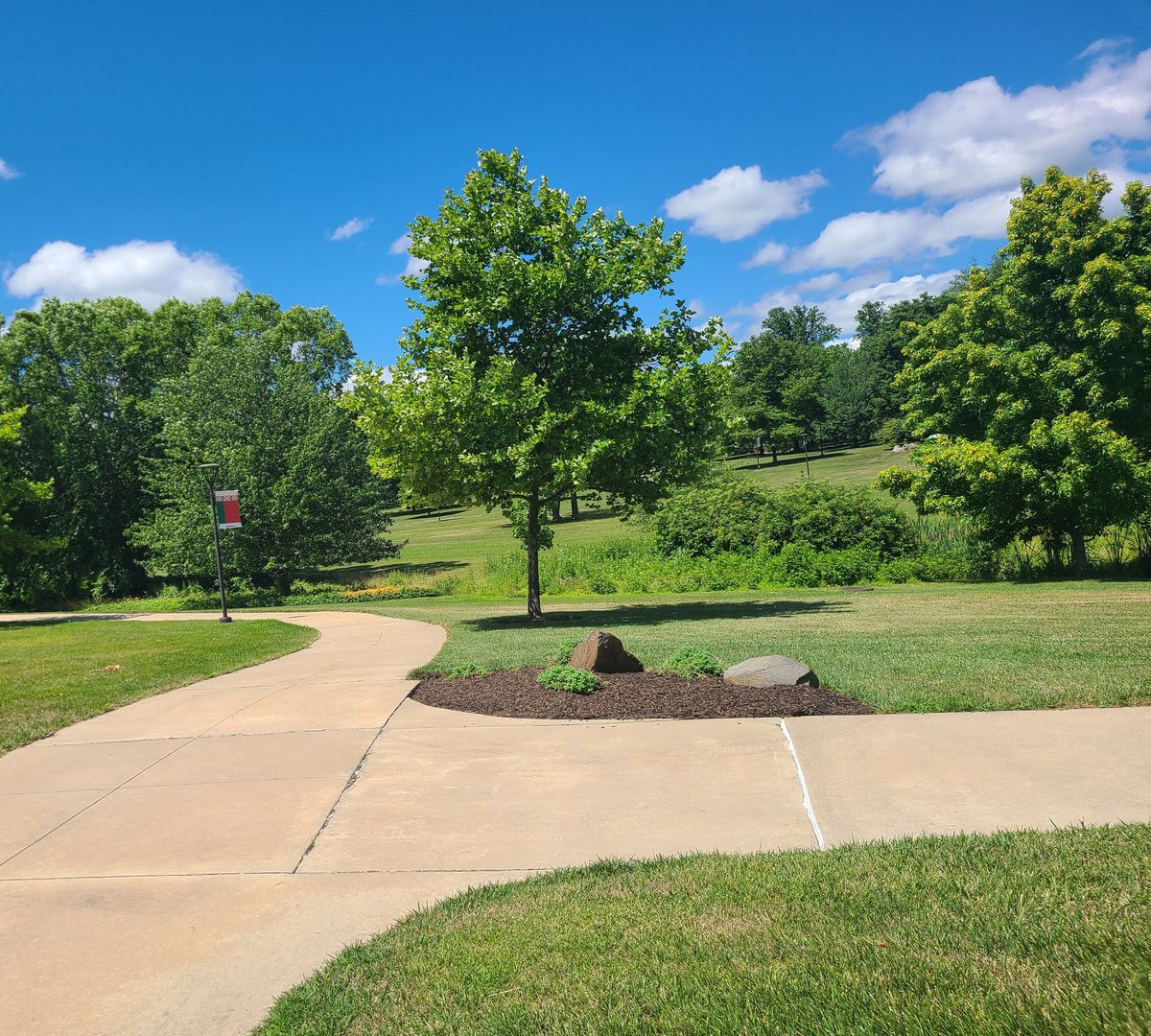 JerzTony's tweet photo. Campuses are great to visit when they are bustling with students. But they are also just as nice to explore during the serene summer months like here @PSUBrandywine. #prettycollegepics https://t.co/jcKc6Q3vsY