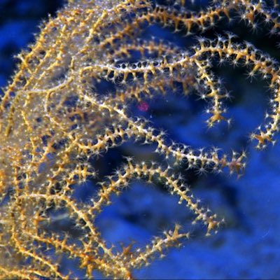 rescap2019's tweet photo. #NuovaFotoProfilo https://t.co/Cnl422342Q