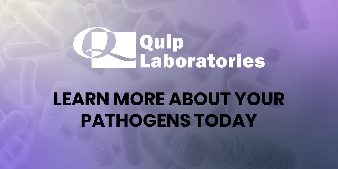 QuipLabs's tweet image. Dive into our Encyclopedia of common pathogens! Discover which disinfectants are best suited for combating specific pathogens in your facility: quiplabs.com/common-pathoge… #LifeSciences #Biomedical #PathogenControl