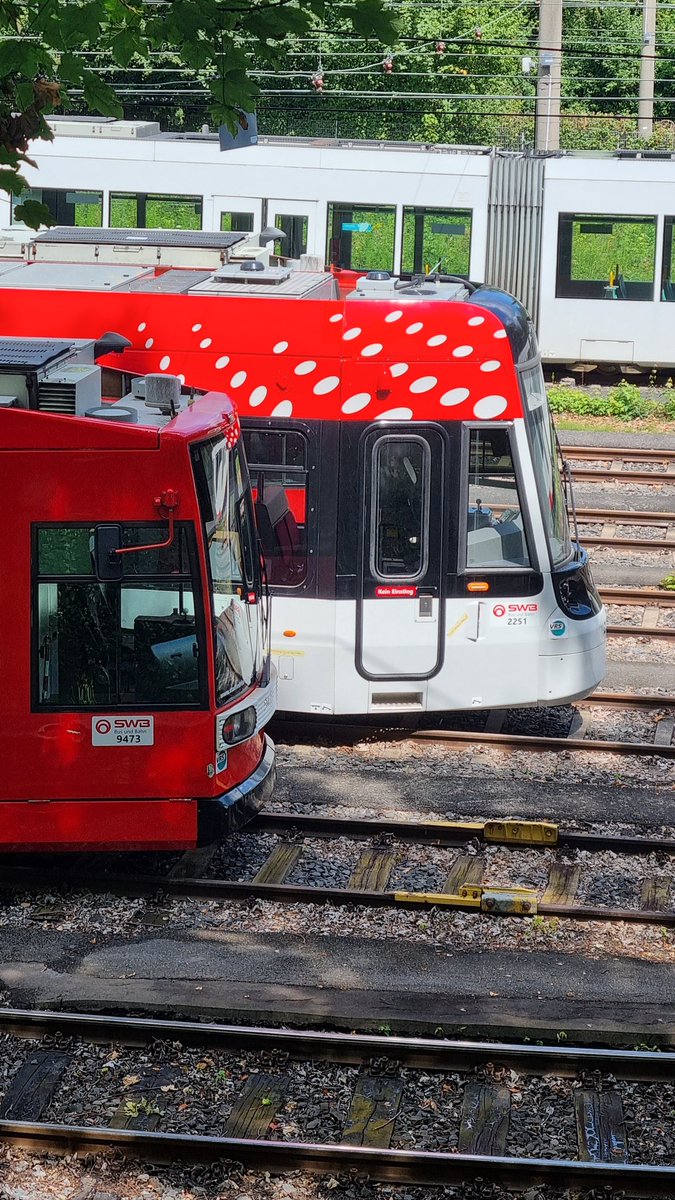 Rainer Bohnet tweet media