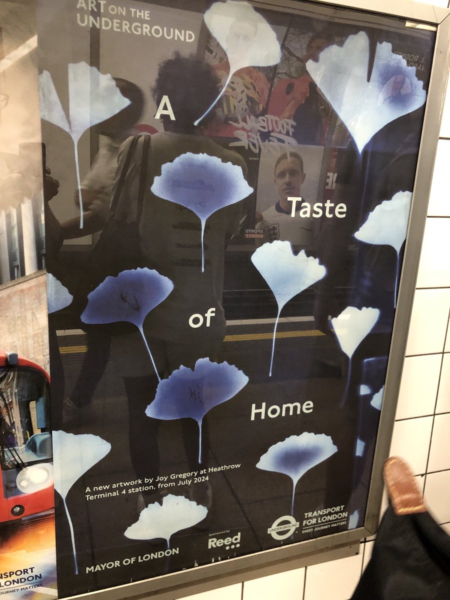 New work by  ⁦<a href="/stockwelljoy/">Joy Gregory</a>⁩ spotted on the Victoria line ⁦<a href="/TfL/">TfL</a>⁩ #artontheunderground - beautiful