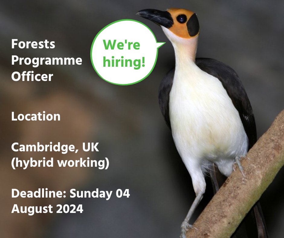 BirdLife Africa (@birdlifeafrica) on Twitter photo ๐ Join <a href="/BirdLife_News/">BirdLife International</a> as the Forests Programme Officer! ๐ฟSupport conservation efforts in vital #biodiversity hotspots.
๐ Apply now and make a significant impact: ow.ly/9MjI50SIsxE
#CareerOpportunity ๐ Join <a href="/BirdLife_News/">BirdLife International</a> as the Forests Programme Officer! ๐ฟSupport conservation efforts in vital #biodiversity hotspots.
๐ Apply now and make a significant impact: ow.ly/9MjI50SIsxE
#CareerOpportunity