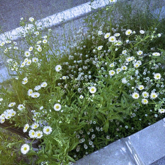 seoul_therapyFR's tweet image. Life Without You de Kelly

🔗: open.spotify.com/intl-fr/track/…

#KELLY #LIFEWITHOUTYOU