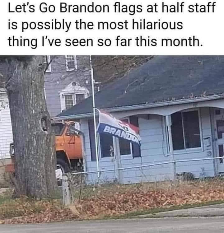 bhennrich's tweet image. So it appears MAGA is in mourning. #KamalaHarris2024 #Blue24