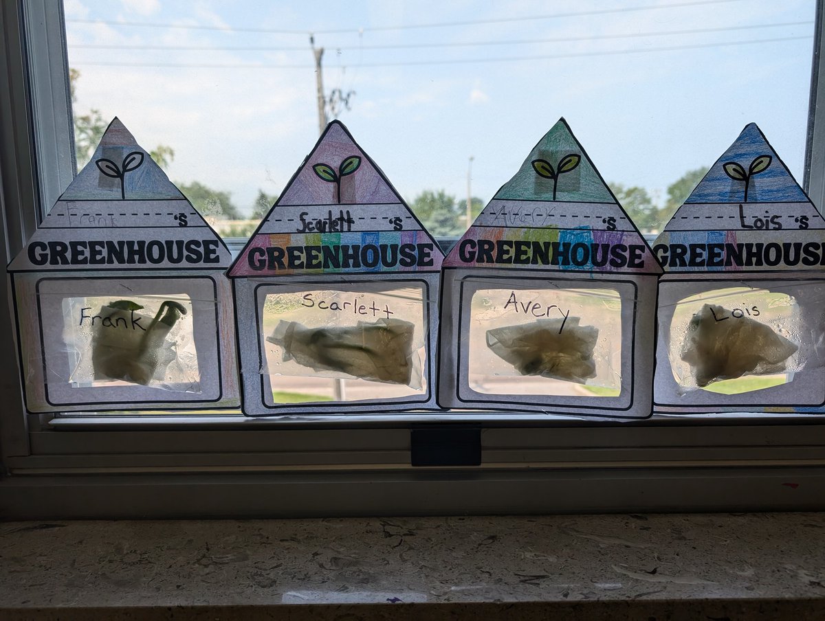 KerrEteach's tweet photo. Great final visit to St Jane Frances for @TCDSBSummerLrn. Amazing work at this big and busy site. Thanks @TeacherToronto, Ms. Ricotta, Ms. Baird, Ms. Ryan, Ms. Gordon, Ms. Pignatore, and Ms. Carnovale. @TCDSB #tcdsbsummerlearning2024 https://t.co/0EZXRrf3Q3