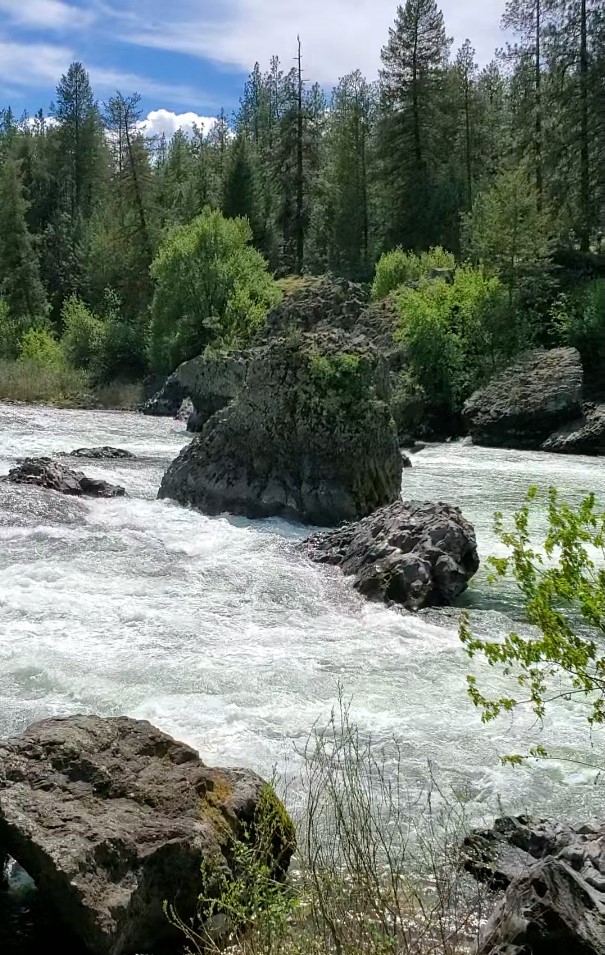 ZondaNature's tweet photo. Spokane River https://t.co/KSmXUBPmn1