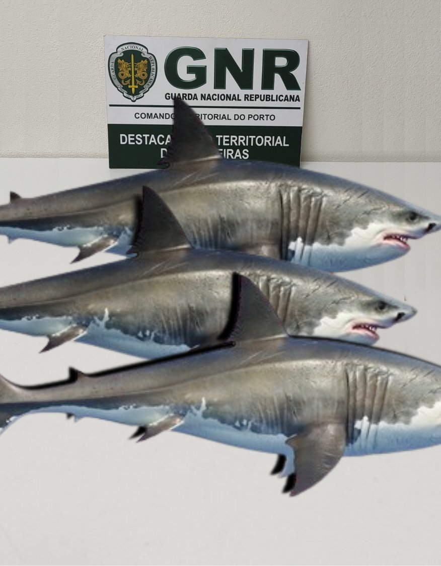 Cancela (@manocancela) on Twitter photo 