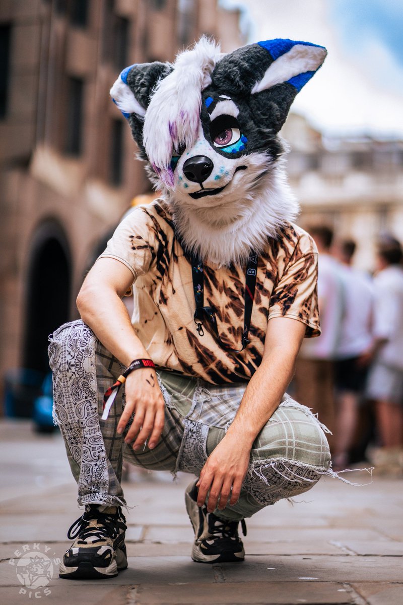 Simply amazing photography from <a href="/ThePerkyRiolu/">Owen Trett - Follow Perky.Bsky.Social 🦦</a> , go check their shit out!!!! I simply have no words ☀️☀️🐕‍🦺