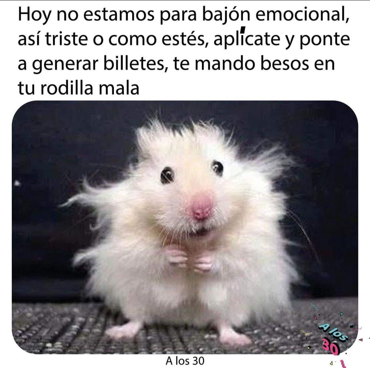 sriveracp89's tweet image. Mandando buena vibra 
#contas #emprendedores #freelancer #BuenosDiasATodos