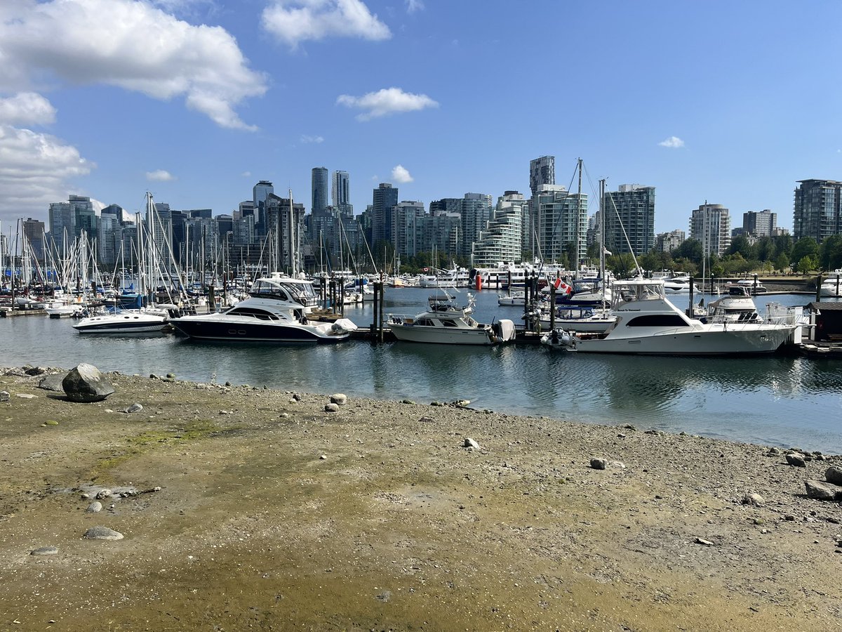 Lewis Goodall tweet media