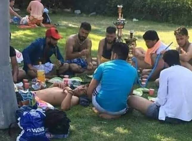 Sokaklarımızda başıboş bedevi istemiyoruz..
Bunlar da toplatılsın barınaklara yerleştirilsin...