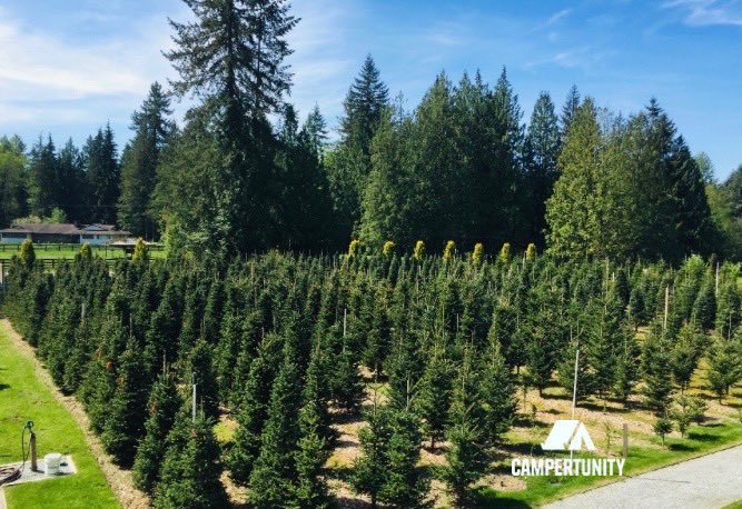 campertunity's tweet image. One of my favourite parts of the job? Meeting new people…by people I mean animals! Murphy’s Tree Farm is one of our newest hosts on Campertunity with one of the coolest camping spaces. Try something new this summer and camp on private land with #campertunity