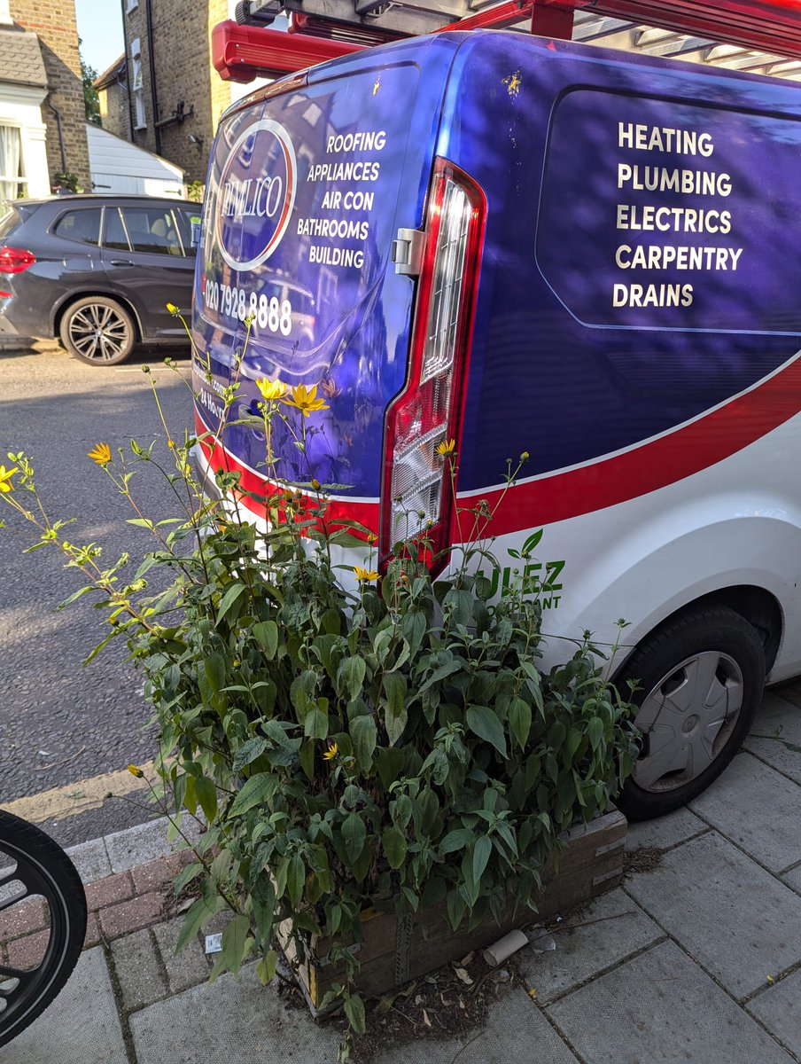 white elephant (@whitepaperellie) on Twitter photo The vehicle is ulez compliant. The driver is annoying. #LongleyRoad #Tooting The vehicle is ulez compliant. The driver is annoying. #LongleyRoad #Tooting