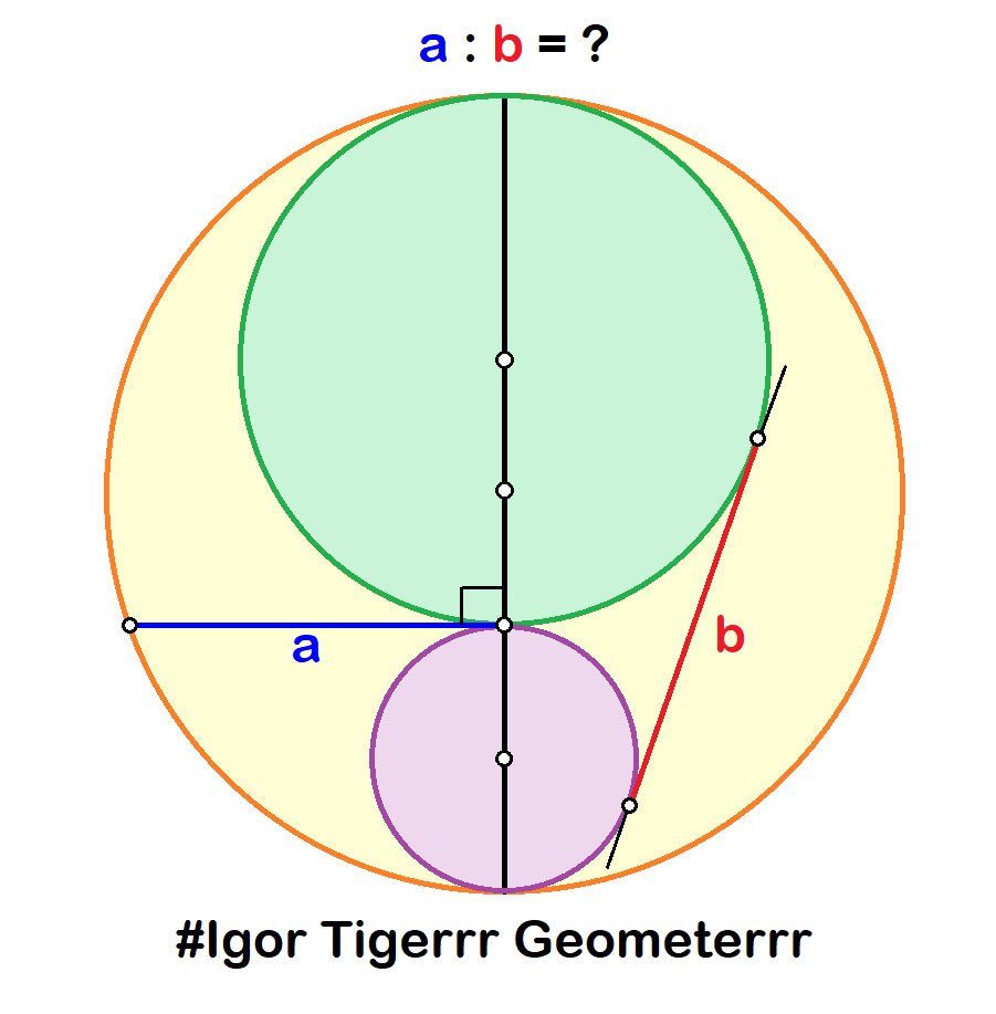 Igor Tigerrr Geometerrr tweet media