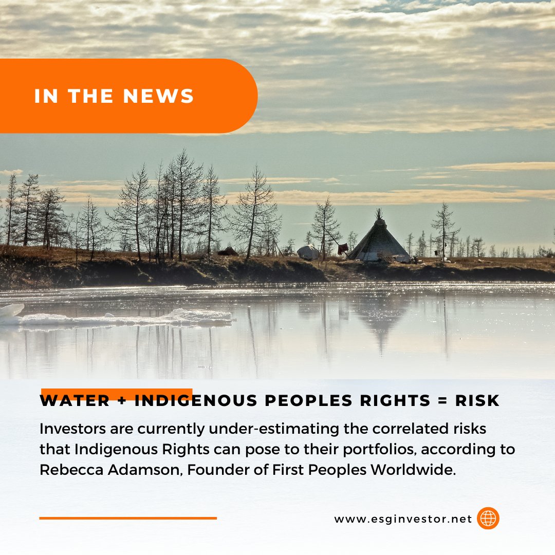 Dive into an article by Rebecca Adamson for ESG Investor.

Rebecca underscores how crucial it is for investors to consider the interconnected risks posed by Indigenous Rights on their portfolios. 

Read now:
esginvestor.net/water-indigeno…