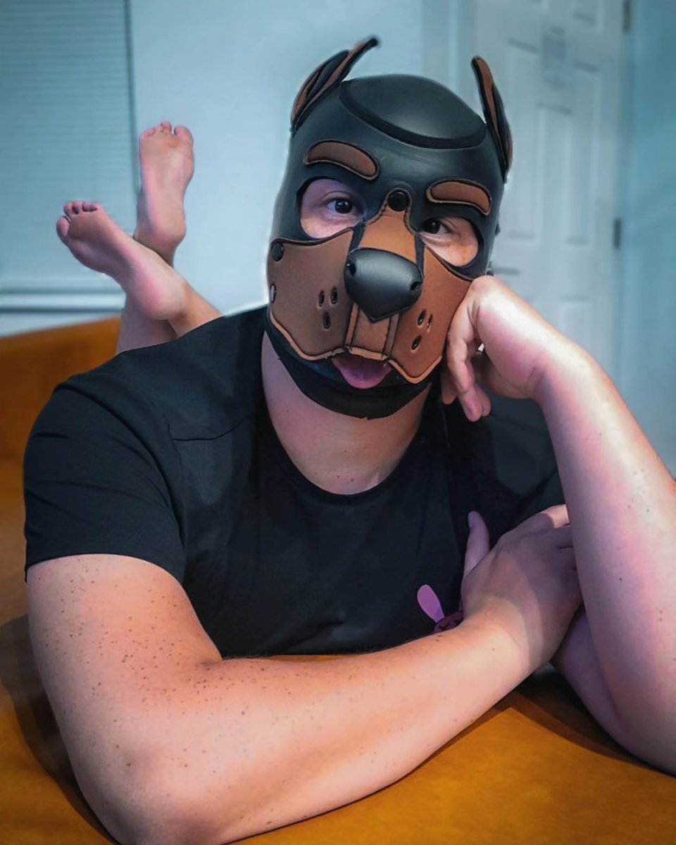 PupNova2's tweet photo. Heathen, I can give you something to believe in. 🐶🐾💜 https://t.co/pLIt6Qdc2D