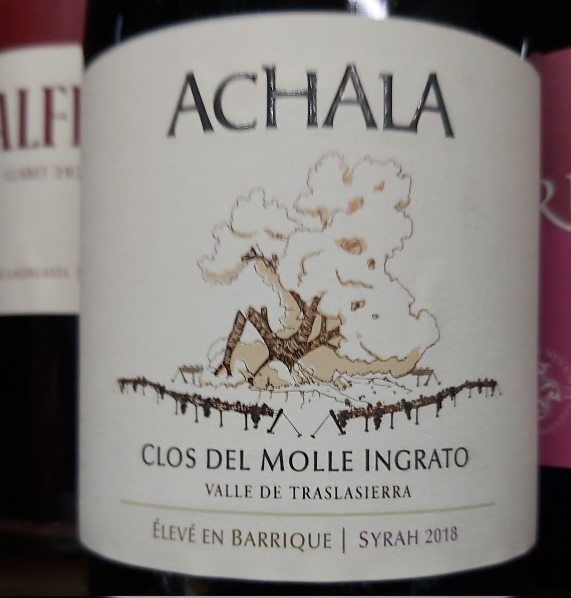 VinotecaMRWines's tweet photo. El syrah de #Traslasierra de #achala y el malbec blend de terroir de #MarceloBelmonte dos vinos que no vas a encontrar fácilmente y que además te recomiendan los cueve! https://t.co/RlpXyE5B6Z