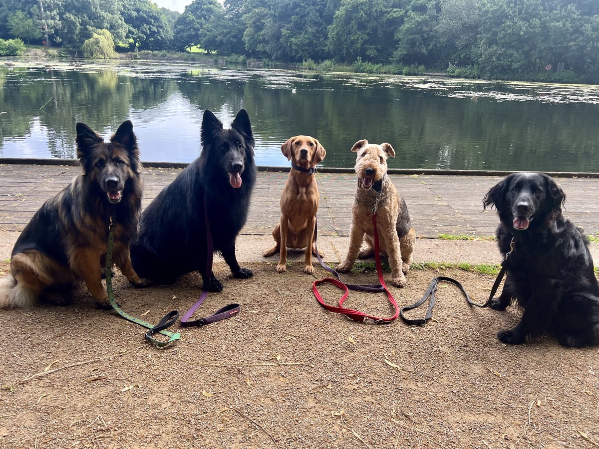 ForRover's tweet image. The bestest of days!