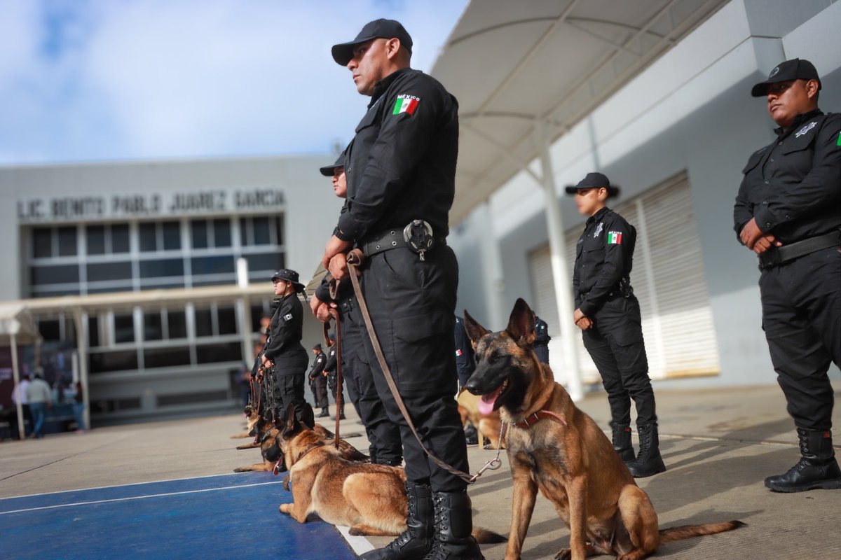 DrChenteC's tweet photo. Durante la ceremonia de Entrega de Reconocimientos al Perro del Año al Servicio de la Ciudadanía 2024, nuestra Unidad Canina de la Policía Municipal de Santa Cruz Xoxocotlán recibió la certificación en la especialidad de detección de narcóticos. https://t.co/X6383mjoWv
