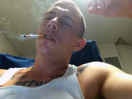 smokertradie's tweet image. 