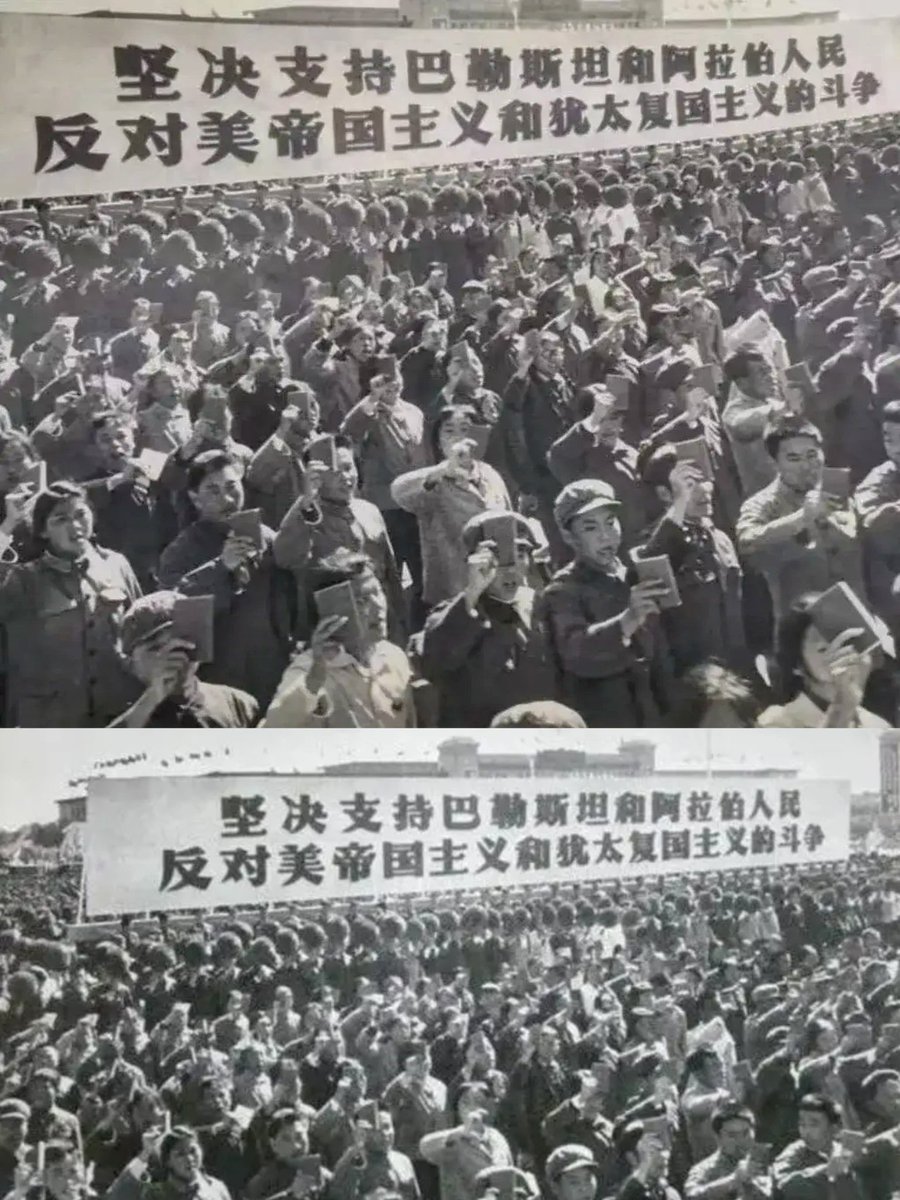 tings chak 翟庭君 tweet media