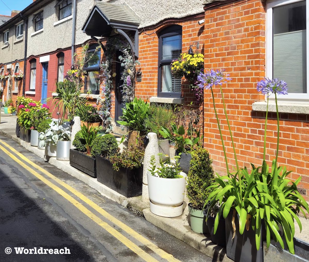 Some #creativegardening with very limited space and the use of containers.  It does get some decent sun.  Not mine but seen in #Terenure, Dublin.
Photo <a href="/WorldReachComms/">World Reach Comms</a> 
#containergardening #patiogardening