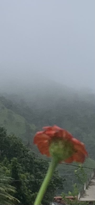 Y así se encuentra nuestro Empalao!! En Cagua!