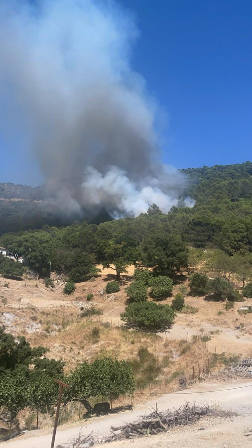 VOSTandalucia's tweet photo. Un Operativo del @Plan_INFOCA trabaja, desde las 17h05, en la extinción de un #IIFF en el tm de #Casares #Málaga ÁNIMO Y FUERZA ! #IFCasares #Andalucia #112 #VOST @E112Andalucia @remermalaga https://t.co/98rqQco7Ov