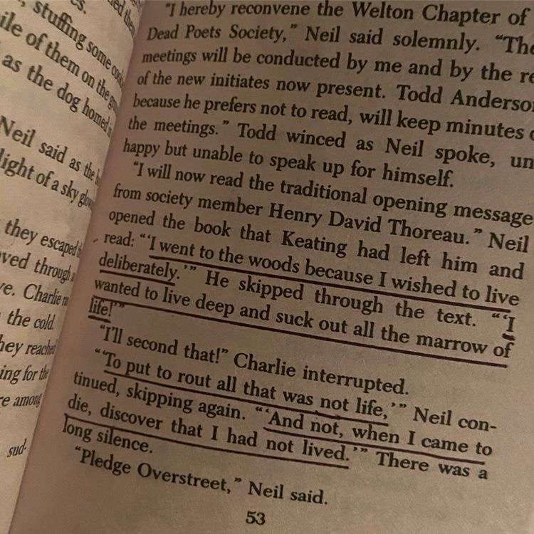 hi!! i’m new to #booktwt looking for moots!

            all pronouns | 20 ⊹ ₊ ⟡ ⋆

⟡ gio, infj-t, taurus
⟡ fav genres: classics, poetry, romance, young adult, fiction 
⟡cr: a little life 
⟡ i love talking about / watching films 

🎞️ ♡ / ↻ to be moots!