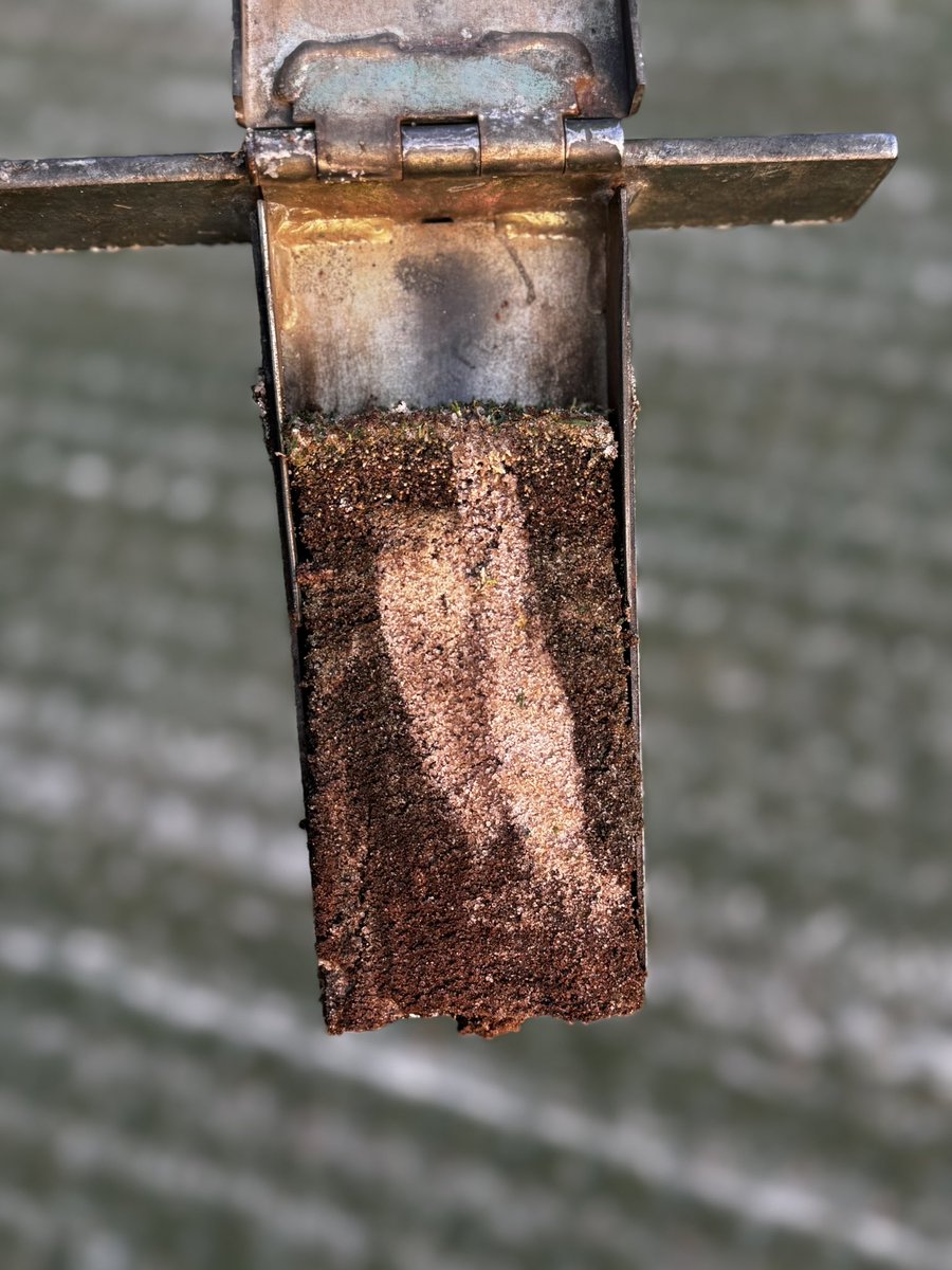 ECoastTurf's tweet photo. 2nd visit this year to inject 600lbs/m via a #DryJect 3”x2” app. https://t.co/CklixtfRfD