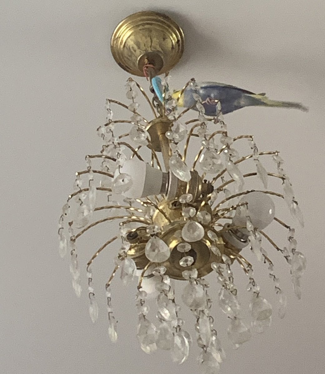 ᴹᴿ🌊Lord Linya⛓️🦋⁴ tweet media