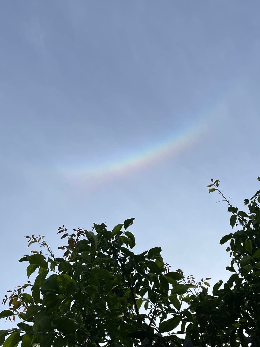 FriendsofIsaac's tweet photo. After a busy day of networking it’s an awesome finish to an awesome day for Isaac! 

Simon has fired up the BBQ and Isaac is enjoying a feast of sausages and sweet potatoes in the garden, rather covered in charcoal as he has been busy assisting with the cooking ♥️🌈💙

Just as he was finishing this upside down rainbow appeared in the sky with not a drop of rain in sight 🌈

#friendsofisaacs #summerholidays
