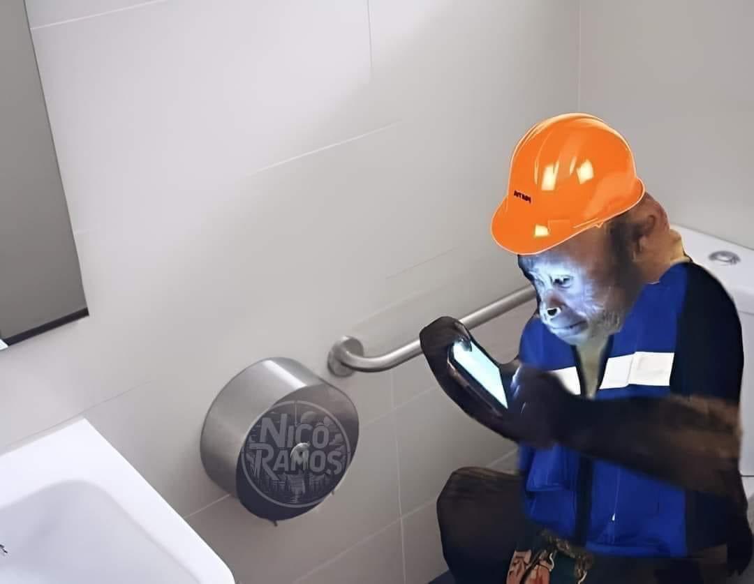 corridosybandas's tweet photo. Yo en el baño del jale: https://t.co/PuHfb0SmkS