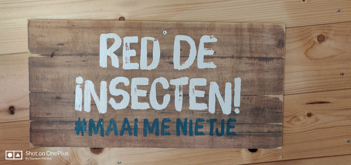 pientka_marleen's tweet photo. Red de insecten, verbrand geen hout.
Bron foto's: #Natuurmonumenten
#houtstook #houtrook #bomen #biodiversiteit #naturalfallacy https://t.co/fjtemqEc7D