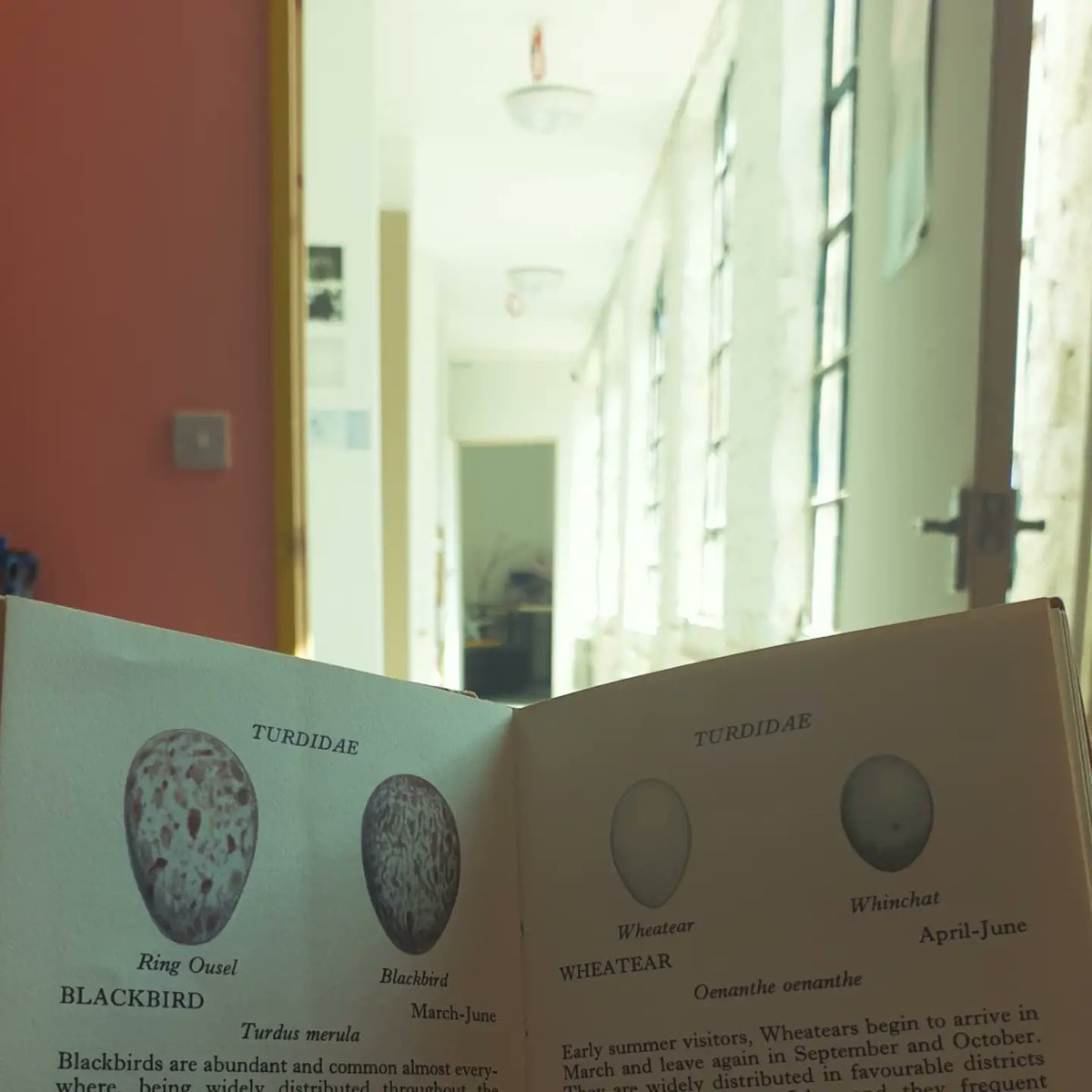 Beautiful day back in the studio <a href="/StryxArts/">Stryx</a> meeting awesome humans and researching. 

Working my way through <a href="/jon_sleigh/">Jon Sleigh</a> excellent book atm.