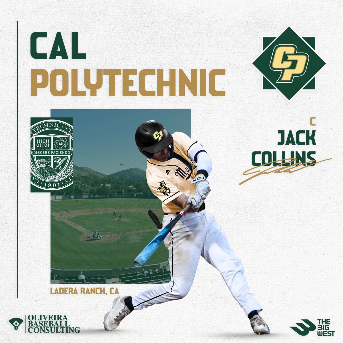 Oliveira Baseball Consulting tweet media