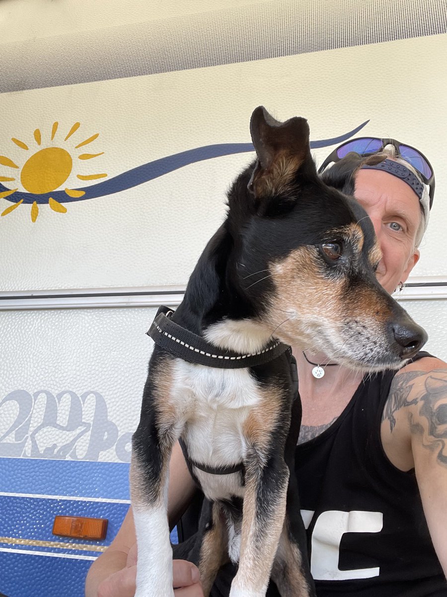 OscarDronjak's tweet photo. Camping life. ☀️🌊⛱️🦀

#Camping #Beach #Dogs #AdrianAce #Football #BeachFootball #Ocean #CampingLife #Björkäng #Varberg #FirstCamp https://t.co/m80EuH7lHd