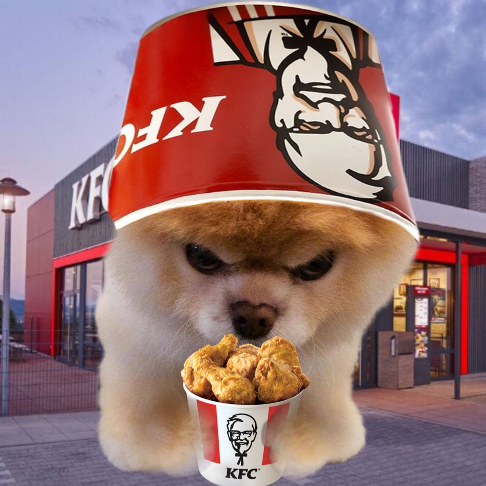 boodogsolana's tweet photo. @scooterxbt get me outta here https://t.co/1lDILPtUPv