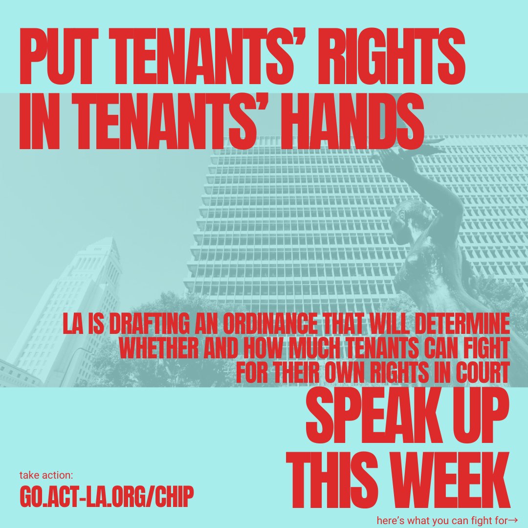 LA is revising several ordinances that will shape LA’s housing future for at least a decade.

LA can, right now, write rules that would strengthen renter protections overnight.

The Resident Protection Ordinance is up for hearing Thursday night. Plug in: go.act-la.org/CHIP