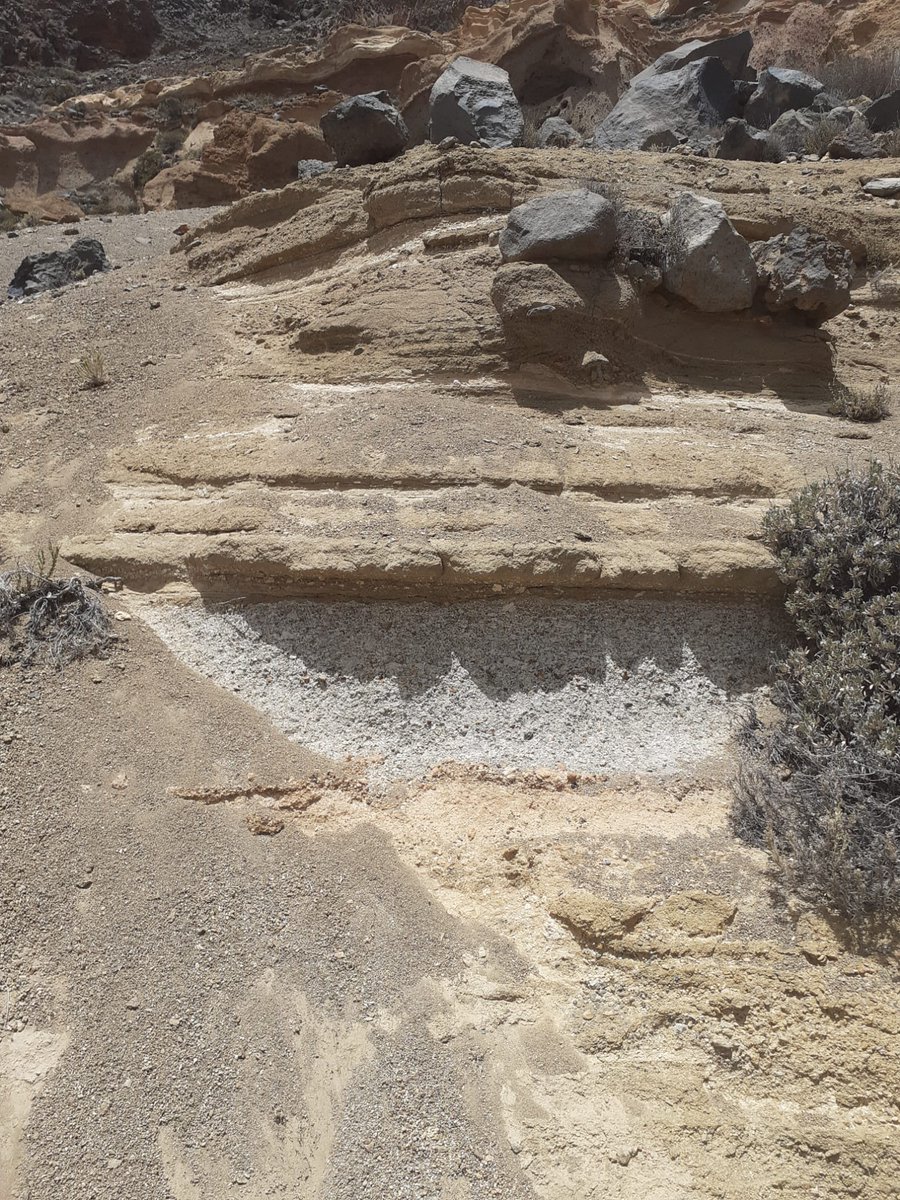 Peter.t.Lunt tweet media