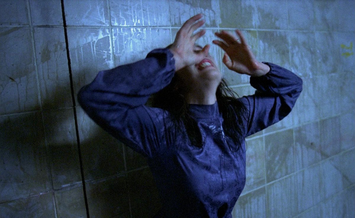 Lenscap's tweet image. It’s only Tuesday?