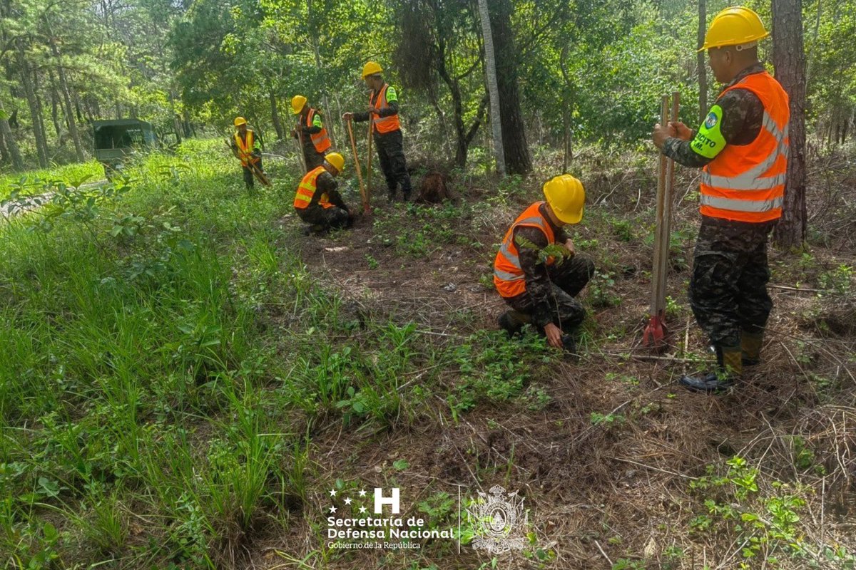 La acción fue desarrollada por la 15 y 120 Brigada de Infantería, Fuerza de Tarea Conjunta Maya-Chortí y el Décimo Segundo Batallón de Infantería, en coordinación con el Comando de Apoyo al Manejo de Ecosistemas y ambiente C-9.  #CeroDeforestaciónAl2029