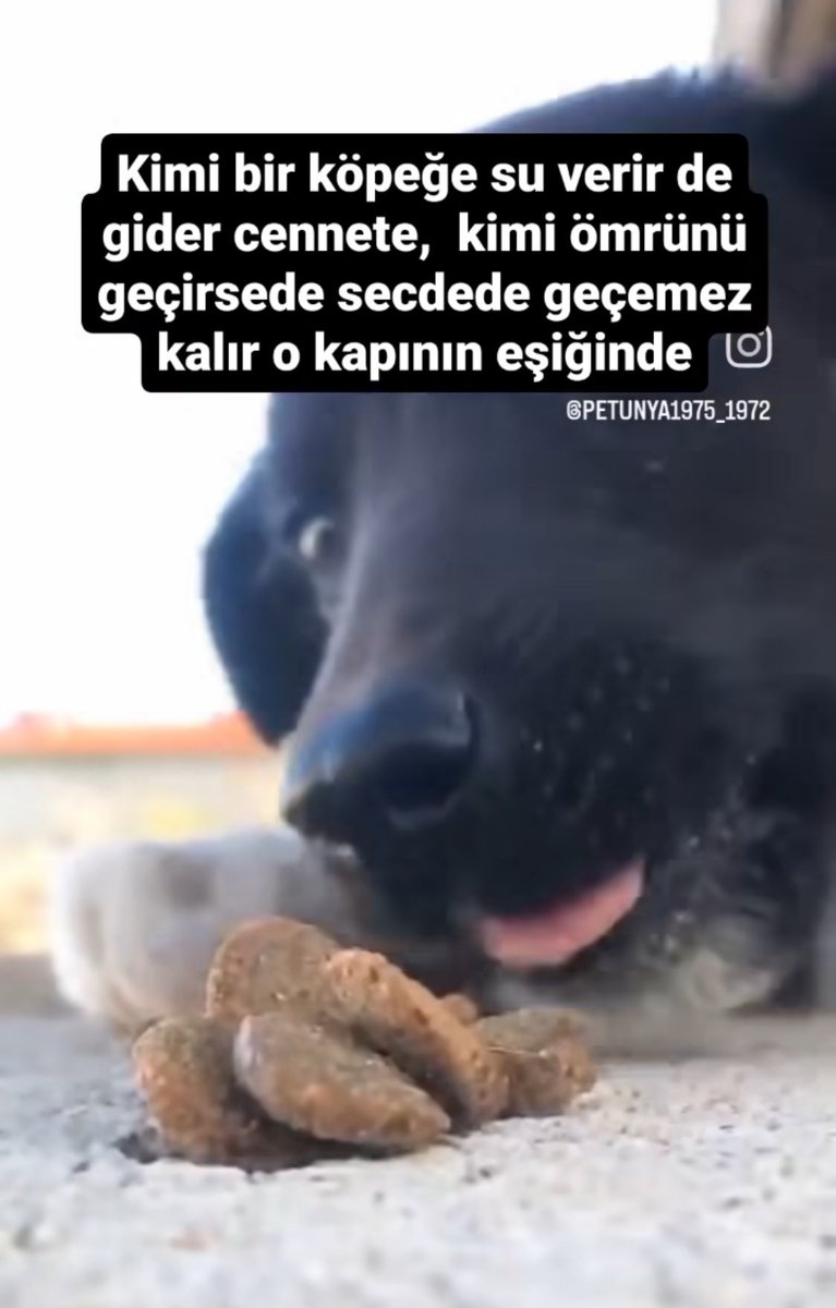 #YasayiGeriCek #kanlıyasayahayır #kanlıyasayadurde