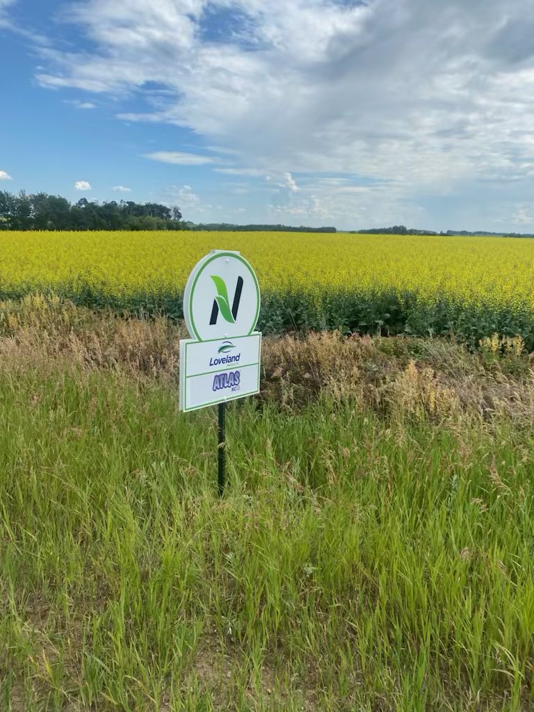janasen81's tweet photo. A big thank you to my Retail Field Interns, Landyn and Emily, for putting up signs on our two #NutrienHometownPride Yield Challenge fields for @trevorfarkash and @ChrisMcLean30.  I think next year there should be a sign that says “Official Field Entry in the Nutrien Hometown Yield Challenge”.