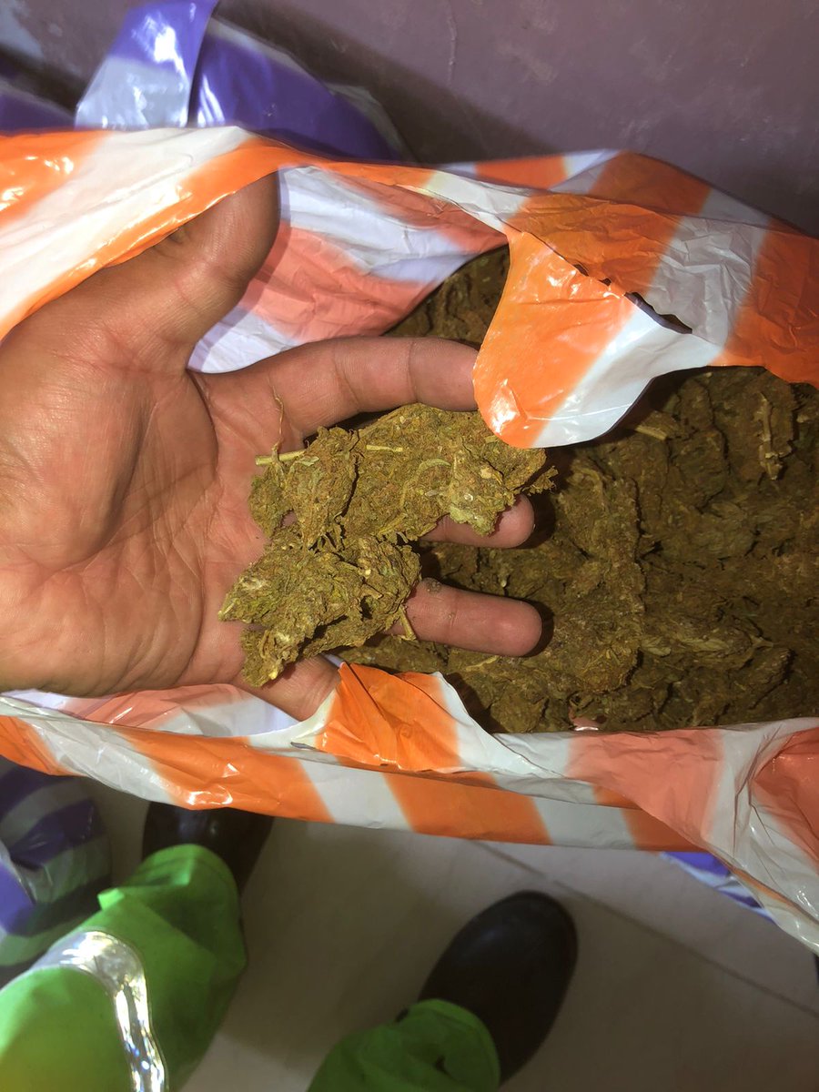 RealBabyKush's tweet photo. Cantidad y calidad 
@RealBabyKush 
Envios todo cdmx https://t.co/BCfxJef56F