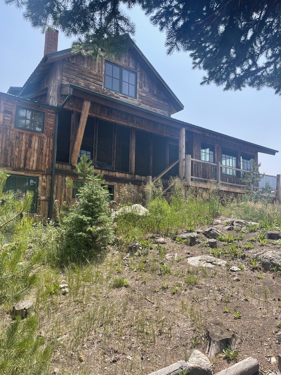 Don Ruggles tweet media