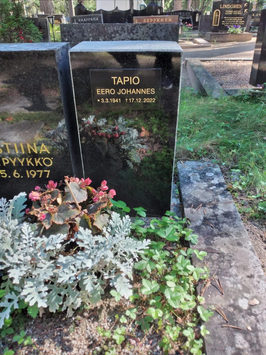 Eero Tapio oli 1960-luvulla Suomen menestynein painija.  #kiveenhakatut <a href="/yleurheilu/">Yle Urheilu</a> <a href="/YleAreena/">Yle Areena</a> <a href="/yleradio1/">Yle Radio 1</a> keskiviikkona 24.7.2024 kello 13 ja uusintana kello 21.05